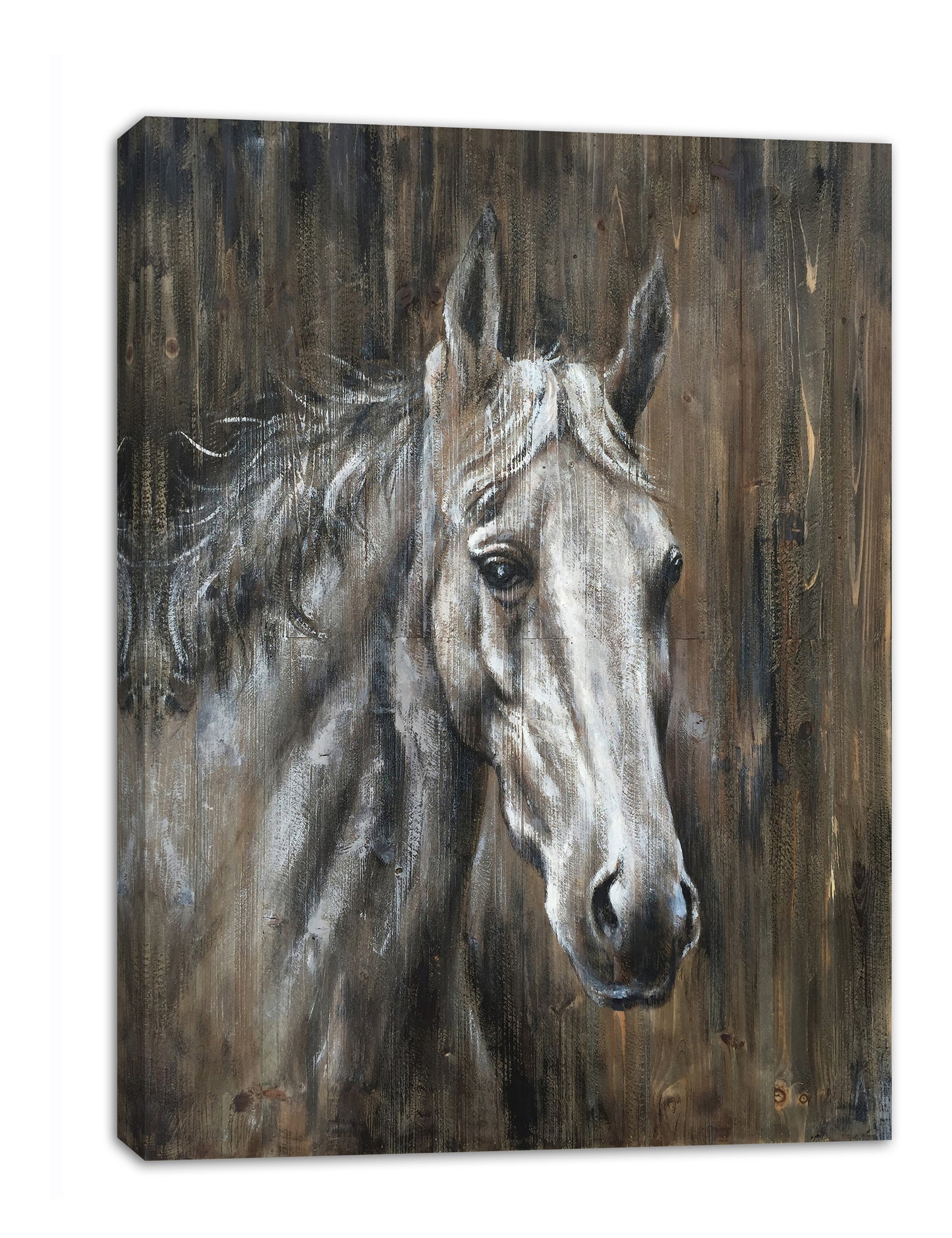 'Texas Horse ' Oil Painting Print on Wrapped Canvas