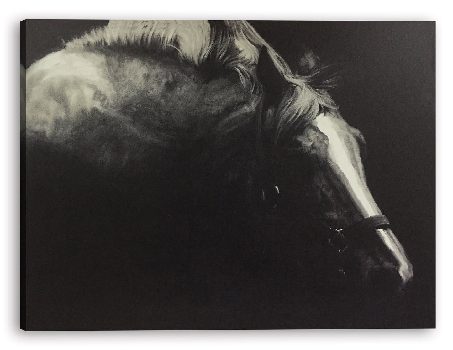 'Horse in the Dark I' Oil Painting on Wrapped Canvas