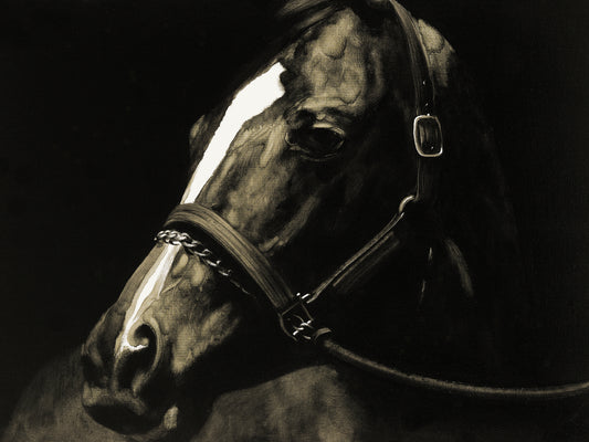 'Horse stopped to look back' Oil Painting Print on Wrapped Canvas
