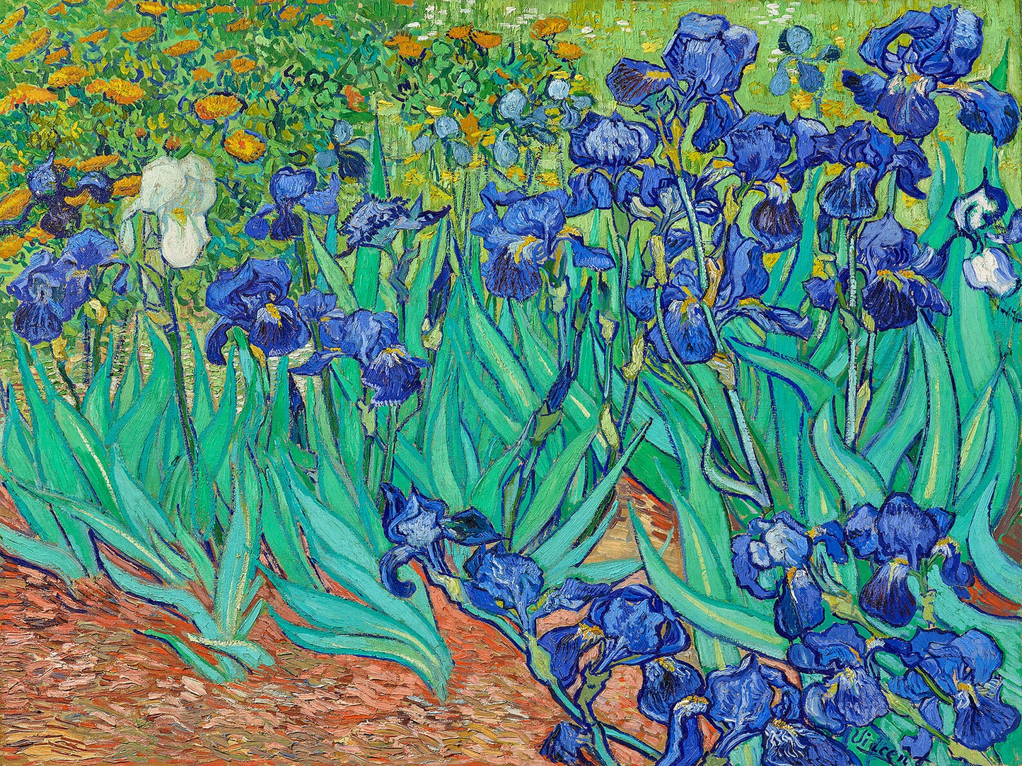 Hand-painted art "Irises" by Vincent Van Gogh In May 1890, high quality reproduction of - Wrapped Canvas Painting