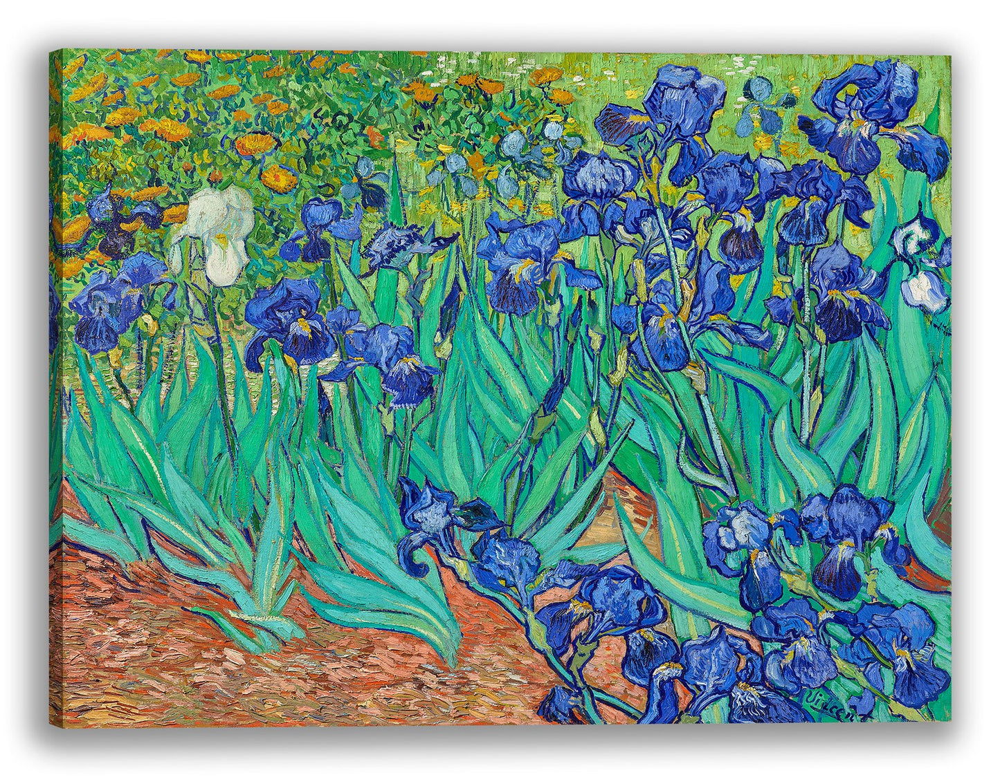 Hand-painted art "Irises" by Vincent Van Gogh In May 1890, high quality reproduction of - Wrapped Canvas Painting