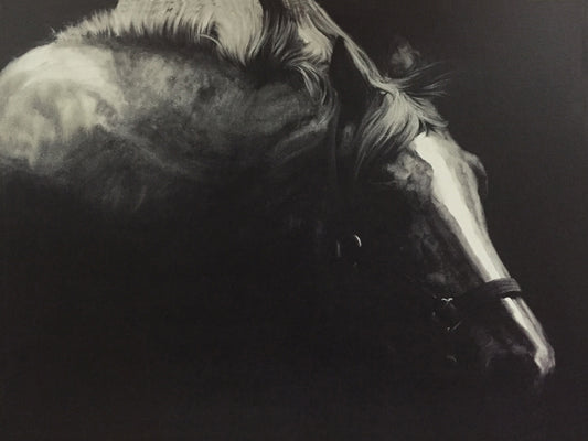 'Horse in the Dark I' Oil Painting on Wrapped Canvas