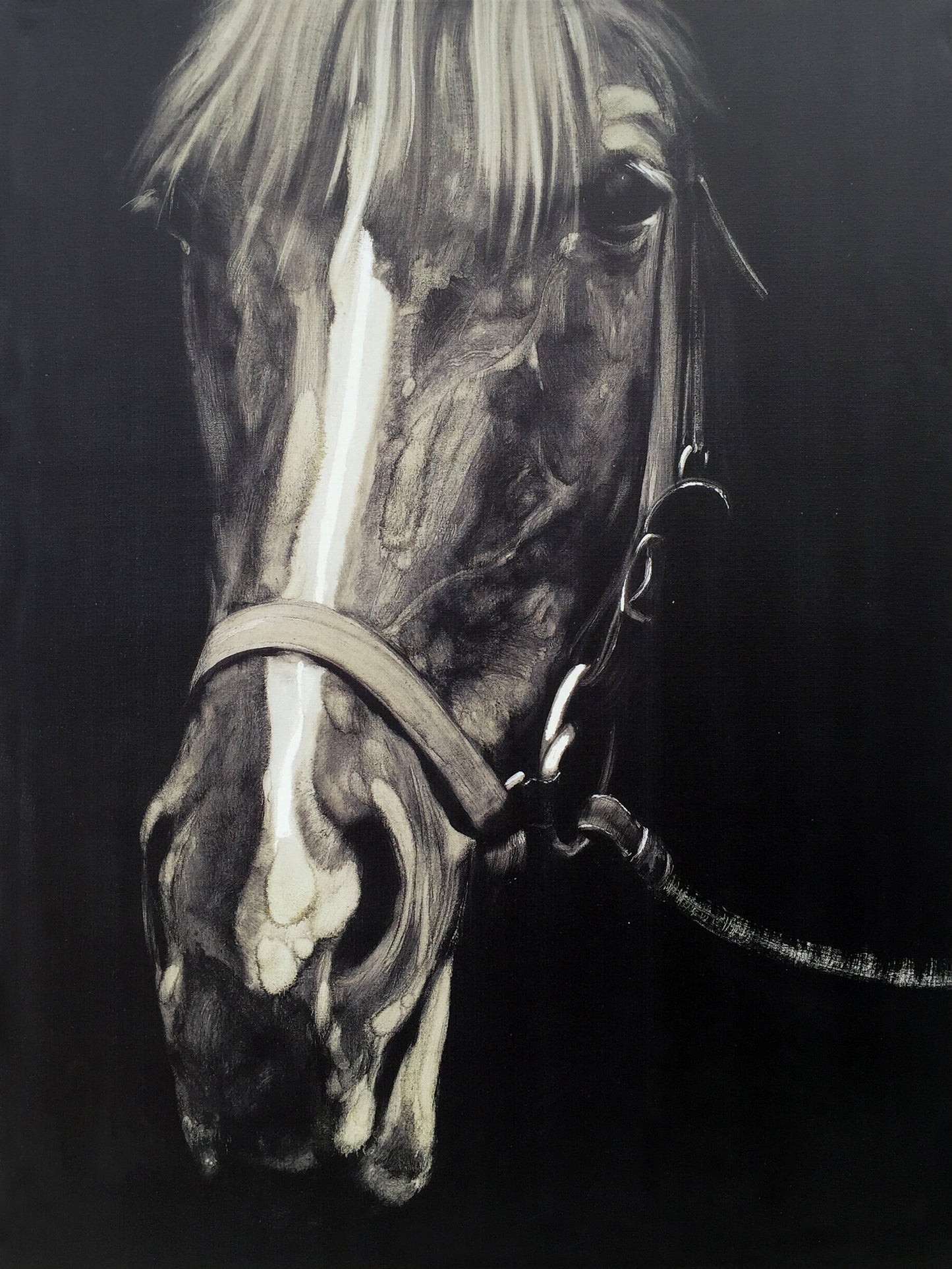 'Horse in the Dark III' Oil Painting Print on Wrapped Canvas